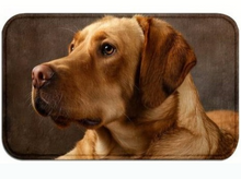 Lade das Bild in den Galerie-Viewer, Türmatte 75x45cm Labrador Hund waschbar rutschsicher Retriever TM44
