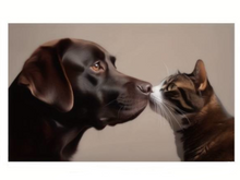 Załaduj obraz do przeglądarki galerii, Hund &amp; Katze Fußmatte 50x80cm, waschbar, weich, Badmatte, Küchenmatte, TM65
