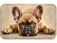 Załaduj obraz do przeglądarki galerii, Türmatte soft 75x45cm Französische Bulldogge Hund waschbar rutschsicher TM48
