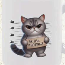 Lade das Bild in den Galerie-Viewer, Witzige Britisch Kurzhaar Katze Tasse, Pferde, Kaffeebecher, Lustige, Kaffepott TA41
