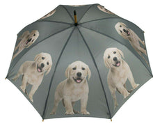 Carregar imagem no visualizador da galeria, Regenschirm Labrador blond Welpe, Hund, Dekoration, Regenschutz RS07
