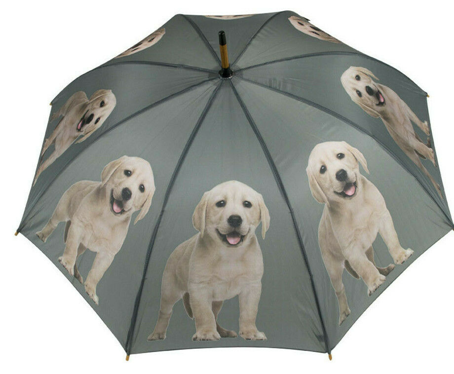 Regenschirm Labrador blond Welpe, Hund, Dekoration, Regenschutz RS07
