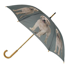 Lade das Bild in den Galerie-Viewer, Regenschirm Labrador blond Welpe, Hund, Dekoration, Regenschutz RS07
