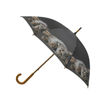 Load image into Gallery viewer, Regenschirm liegende Katze, Kätzchen, Stockschirm, Geschenke  RS02

