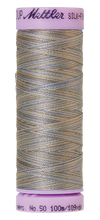 Load image into Gallery viewer, METTLER SILK-FINISH Cotton Multi 50, Näh- und Quiltgarn, 100 m 9075 Farbe Silver Blues (9843) 1 von 15 Farben
