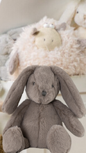 Lade das Bild in den Galerie-Viewer, Kuscheltier Plüschtier Hase mit Schlappohren braun 27cm P236
