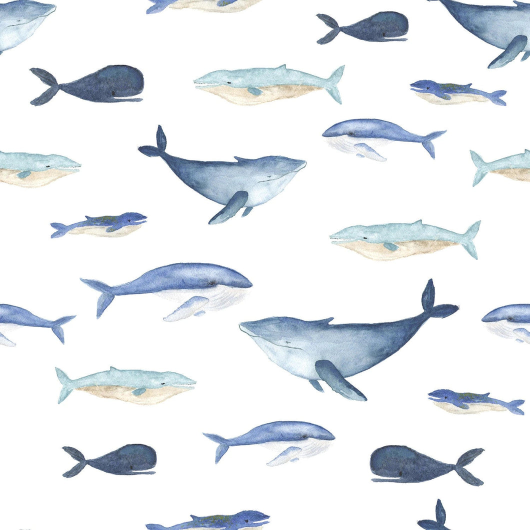 EUR 16,90/m Jersey Wale, Delfine maritim  DIGITALDRUCK 0,50mx1,50m Art 3128