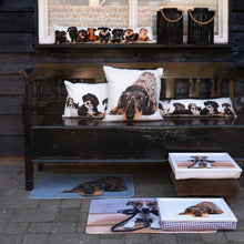 Load image into Gallery viewer, Knietablett Jack Russel Terrier von Mars &amp; More RNLTHJR Beige Braun Weiß  KI125
