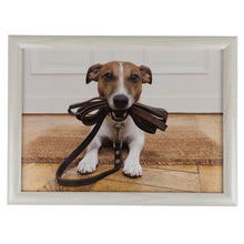 Lade das Bild in den Galerie-Viewer, Knietablett Jack Russel Terrier von Mars &amp; More RNLTHJR Beige Braun Weiß  KI125
