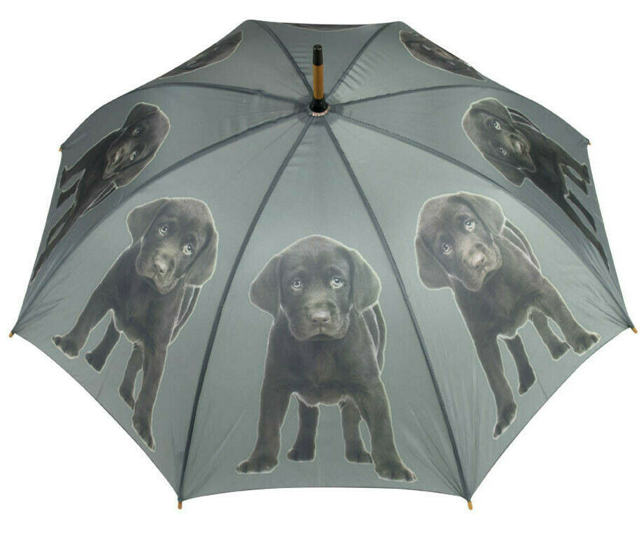Regenschirm Labrador Welpen, Stockschirm, Regenschutz, Geschenk Art RS01